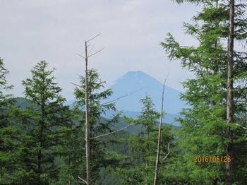 ⑥一本の白い筋が伸びた富士山.jpg