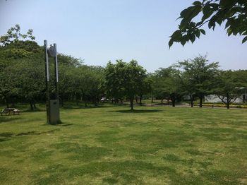 テント等設営前のさくら山の芝生広場.jpg